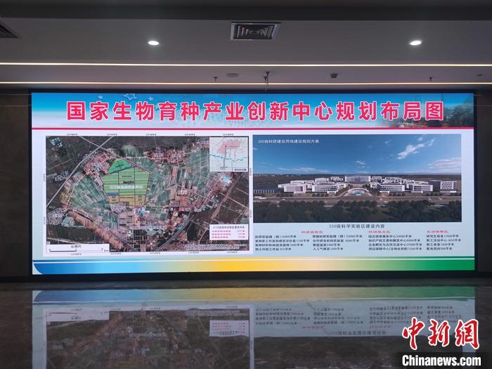 河南打造“中原农谷” 欲建中国“种业硅谷”
