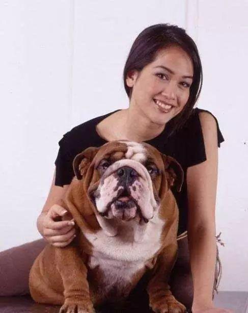 世界名犬品种大全 中国最常见的45种宠物名犬