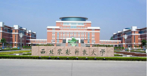 2022年中国的农业大学排行榜前十名有哪些