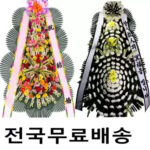 韩国喜事送花圈？为什么朝韩民族被称为“白衣民族”