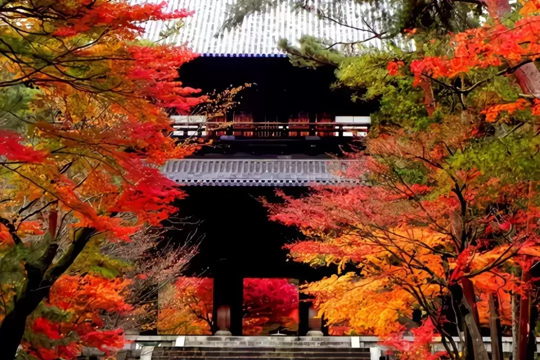 日本京都美食：正宗日料在日本哪里？