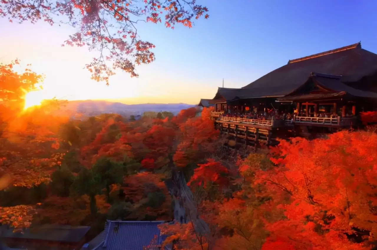 日本京都枫叶哪里最好？