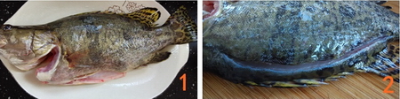 清蒸鱼的做法大全,清蒸鱼怎么做好吃,清蒸鱼的家常做法