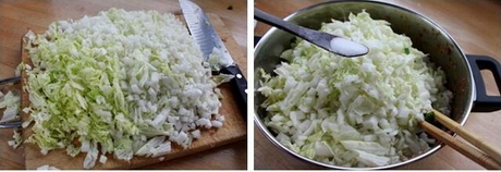 大白菜的做法大全,大白菜怎么做好吃,大白菜的家常做法