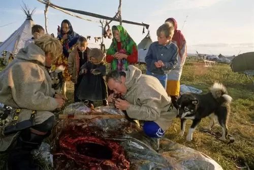 北极圈内涅涅茨人吃什么？吃生鱼？吃生肉？