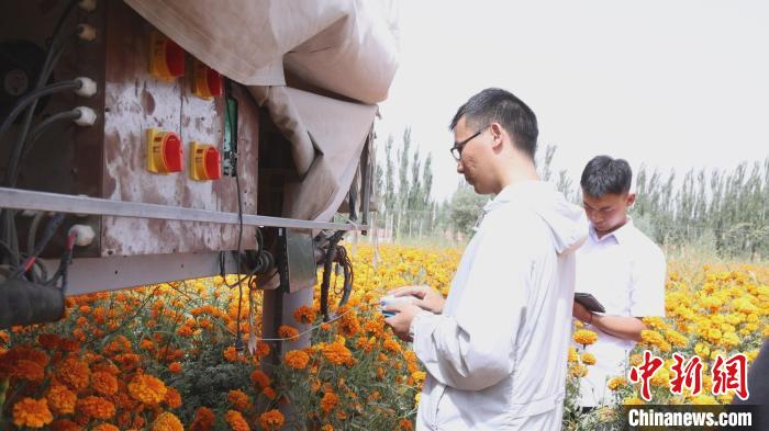 新疆莎车县：“机器人”进田地 解农户“采摘之忧”