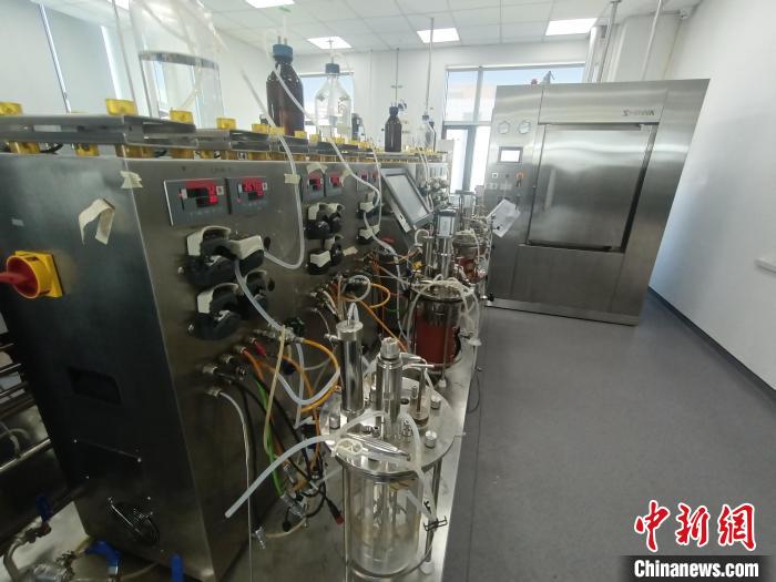 （高质量发展调研行）黑龙江绥化：推动玉米生物发酵产业快速发展