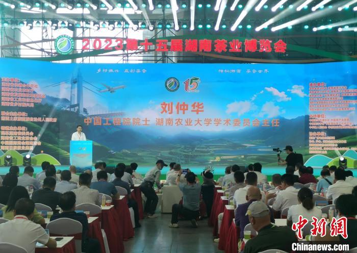 第十五届湖南茶业博览会开幕 助力乡村振兴