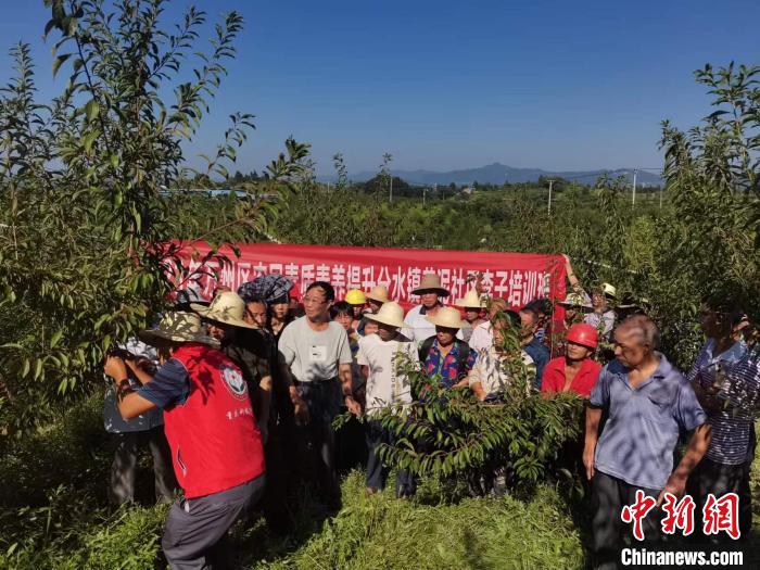 重庆万州：“631”产业分红模式 唤醒乡村沉睡资源