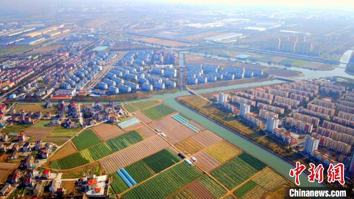 （走进中国乡村）上海泥城镇：新能源汽车发展助农业大镇成产业聚落