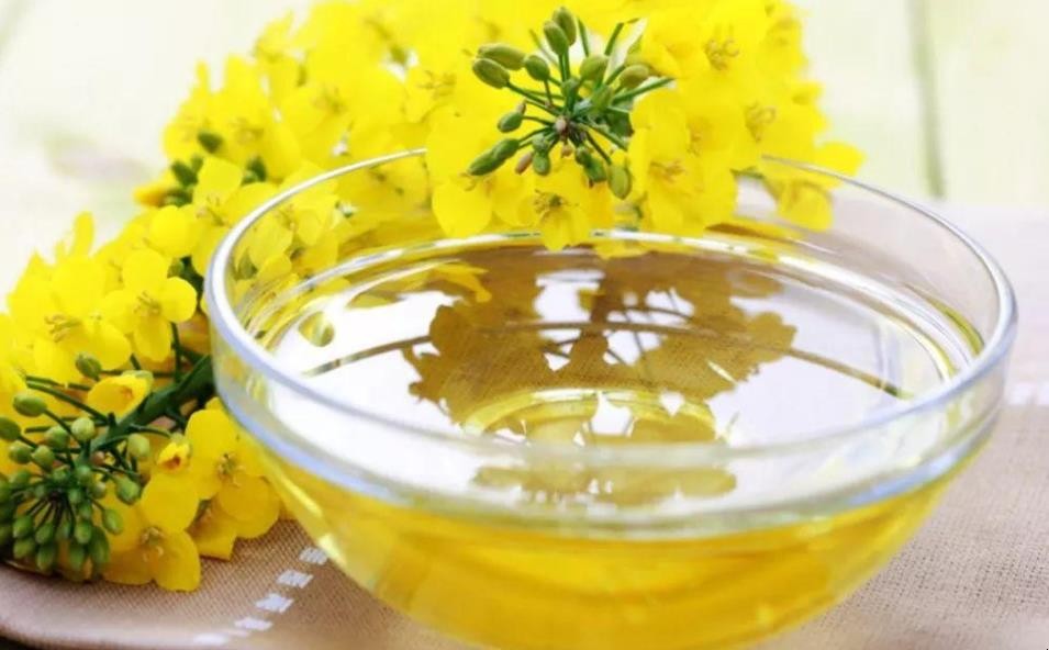 芥花油是什么油 芥花油是什么油到保质期了可以吃吗