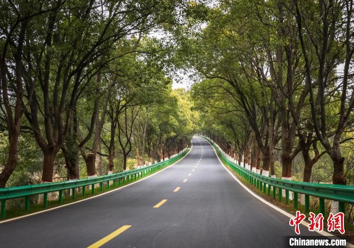 （乡村行·看振兴）江西安义：最美乡村公路串起景区 助推农文旅融合发展