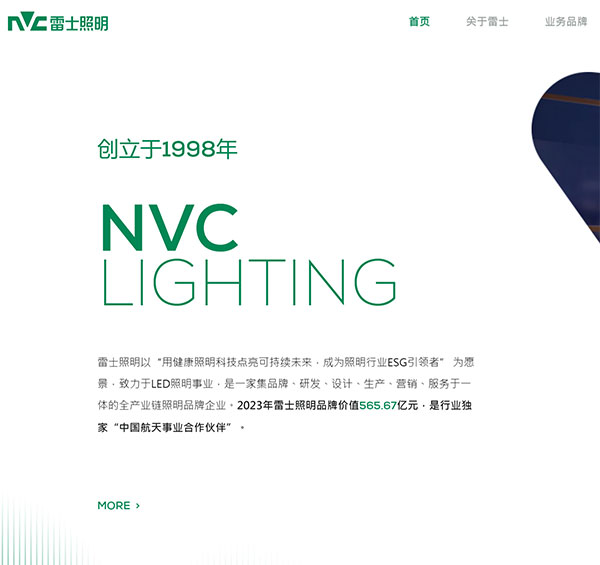 NVC雷士照明网站图片展示