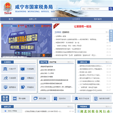 湖北国税网网站图片展示