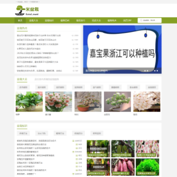 一米盆栽网网站图片展示