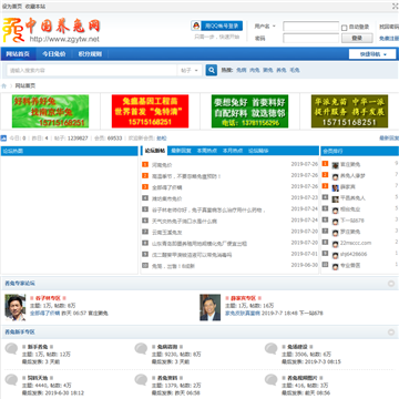 中国养兔网网站图片展示