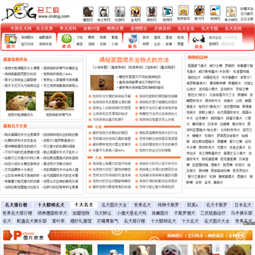 中国名犬网网站图片展示