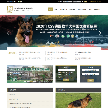CSV德国牧羊犬俱乐部网站图片展示