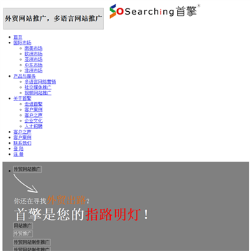 上海首擎信息科技有限公司网站图片展示
