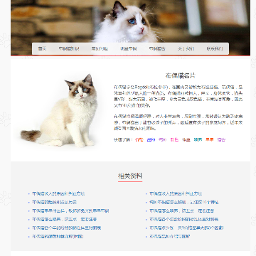布偶猫之家网站图片展示