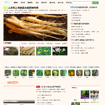 植物网站图片展示