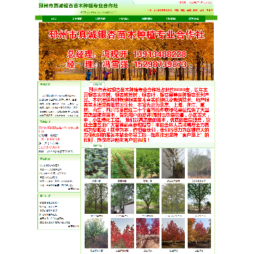 邳州市真诚银杏苗木种植专业合作社网站图片展示