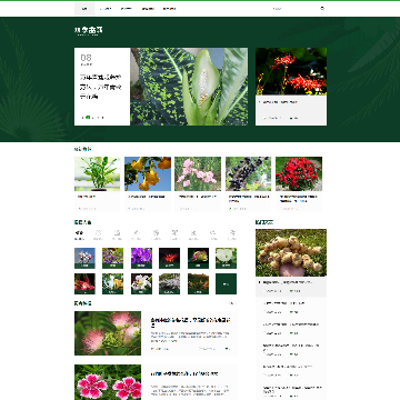 四季盆栽网站图片展示