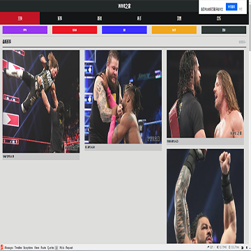 WWE之家网网站图片展示