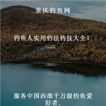 重庆钓鱼网网站图片展示