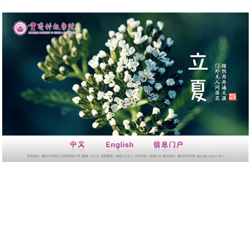 重庆科技学院网站图片展示