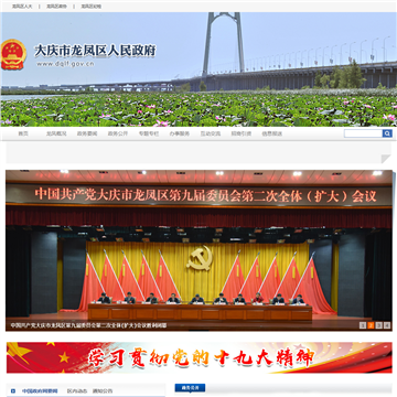 大庆市龙凤区政府网网站图片展示