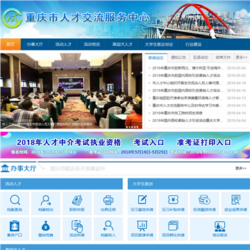 重庆人才公共信息网网站图片展示