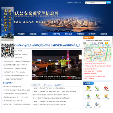 重庆公安交通管理信息网网站图片展示