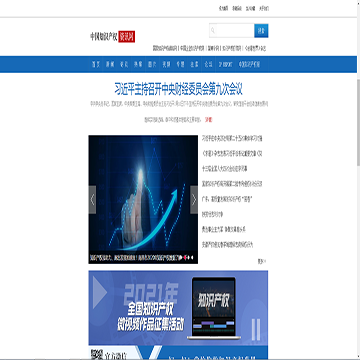 中国知识产权资讯网网站图片展示