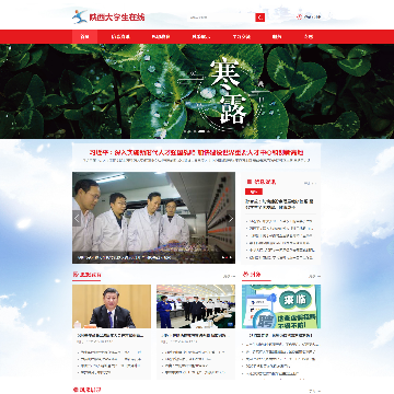 陕西大学生在线资讯网网站图片展示