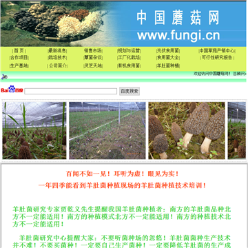中国蘑菇网网站图片展示