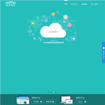 深圳盛传网络技术有限公司网站图片展示