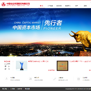 中国宝安网站图片展示